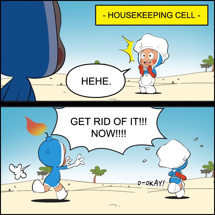 Yumi's Cells Chapter 493