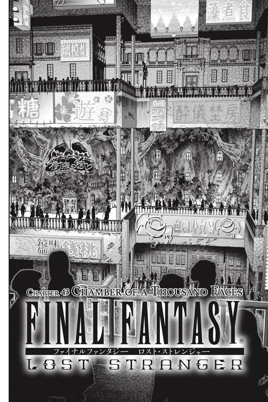 Final Fantasy: Lost Stranger 43