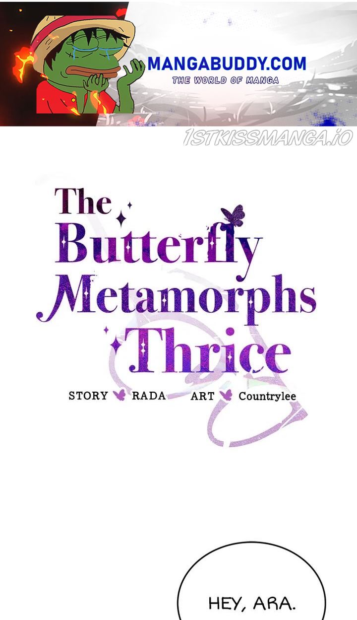 A Butterfly Metamorphoses Three Times Chapter 29
