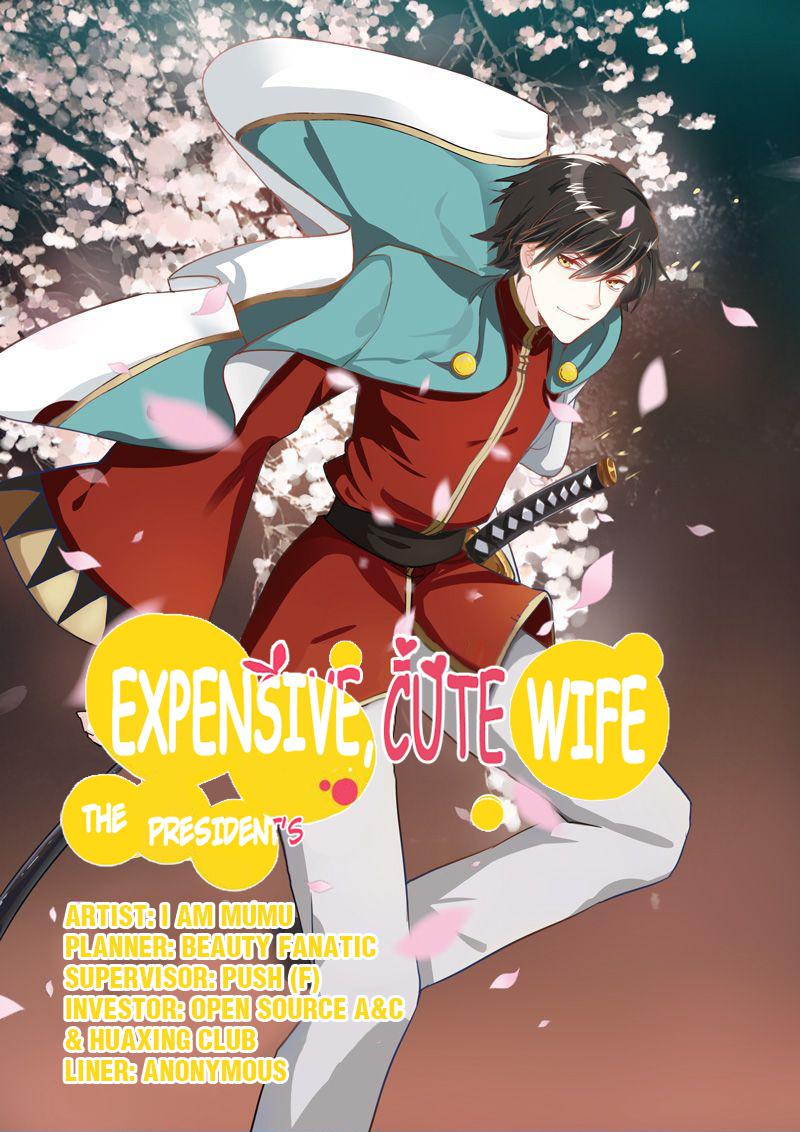 The President's Expensive, Cute Wife 2 Episode 2