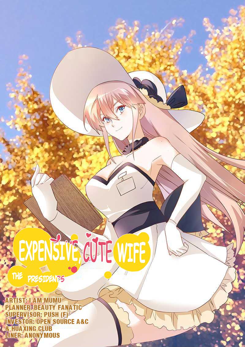 The President's Expensive, Cute Wife 17 Episode 17