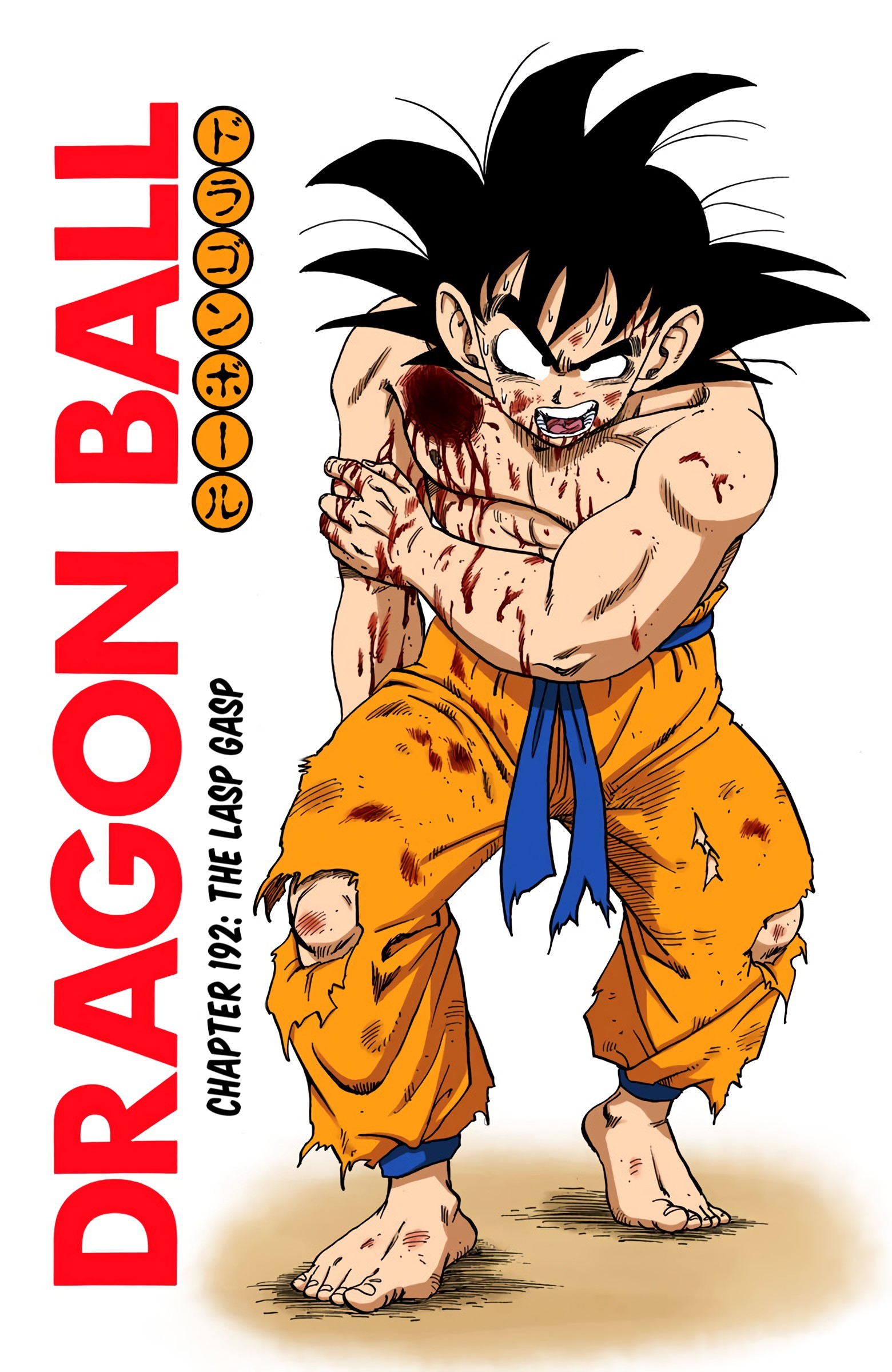 Dragon Ball - Full Color Edition Vol.16 Chapter 192