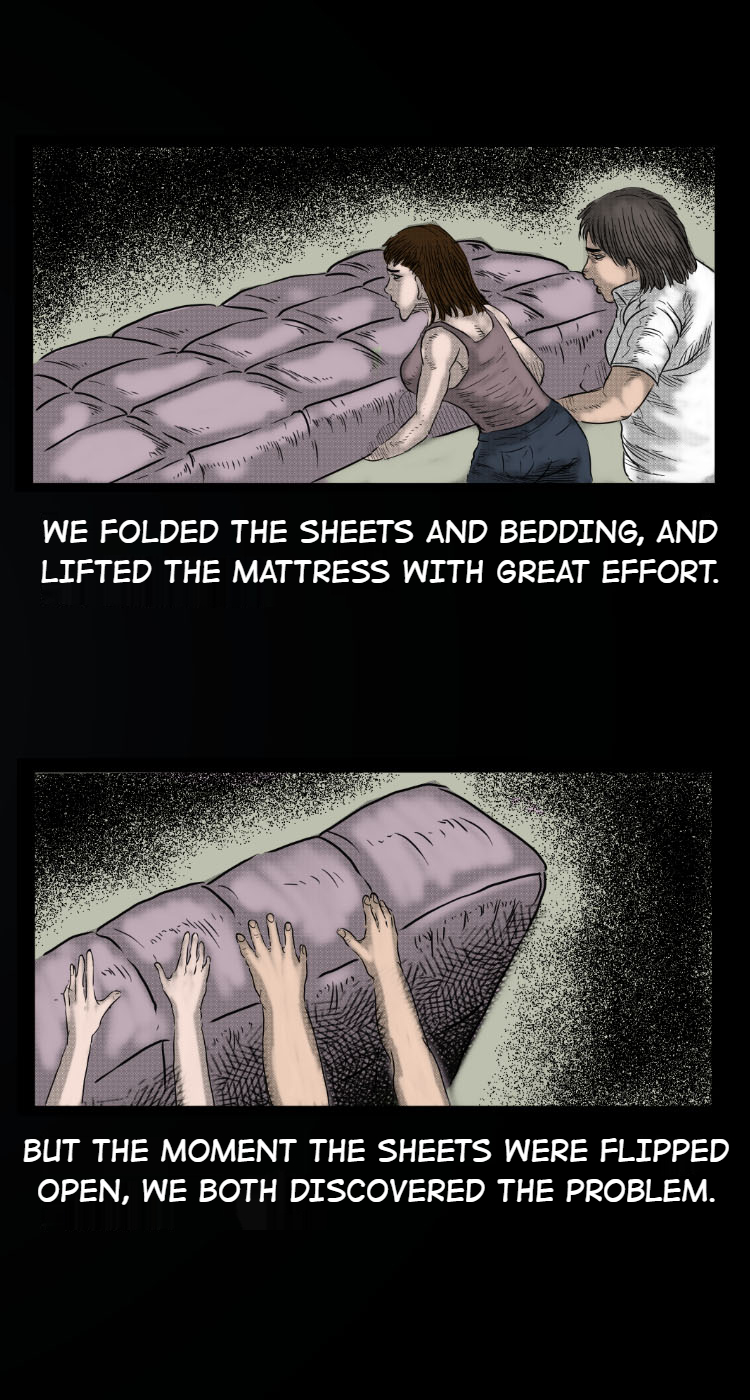 A Collection of Peculiar Happenings 12.0 The Mattress