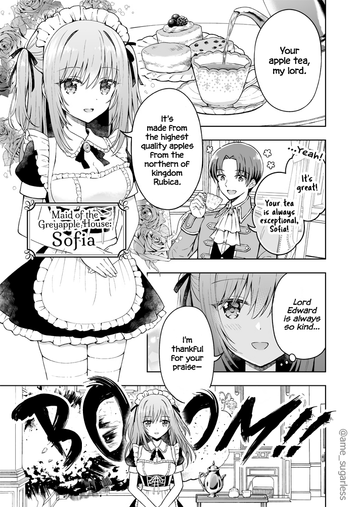 A Story About A Battle Maid 1